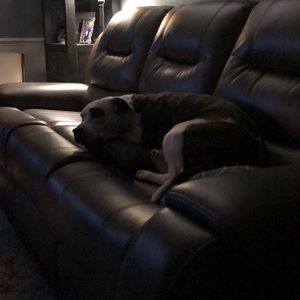 Meet your Posher, Angie